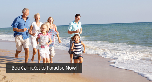 Book a Ticket to Paradise Now!